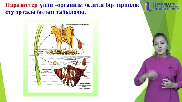 Лекция 8. АҒЗАЛАРДЫҢ НЕГІЗГІ ТІРШІЛІК ФОРМАЛАРЫ ЖӘНЕ ОРТАЛАРЫ