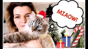 Наряжаем ёлку | Как подружить кошку и ёлку