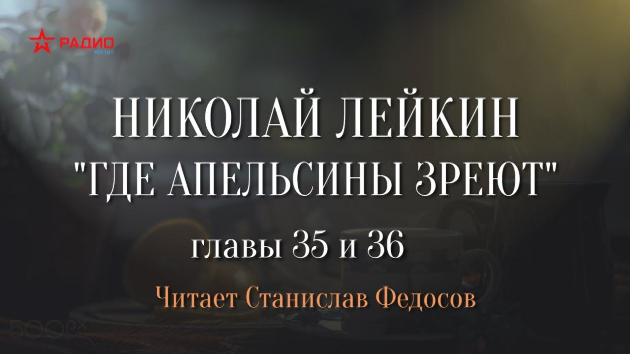 Николай Лейкин. «Где апельсины зреют». Аудиокнига. Главы 35 - 36