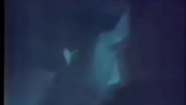 Whitesnake - Belgian Tom's HatTrick - USA 1980 смотреть онлайн