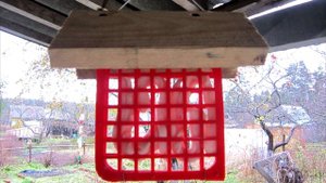 Стильная кормушка для синиц после 10 лет эксплуатации