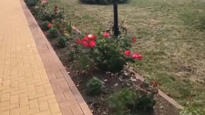 Свято-Покровский женский монастырь в г.Михайлов июль 2018.Трасса Москва-Тамбов