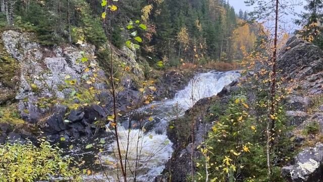 Сильнейшая Медитация на обретение спокойствия и гармонии с собой / Полное погружение в себя смотреть онлайн