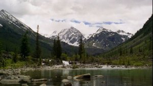Камни в холодной воде — Аквариум БГ