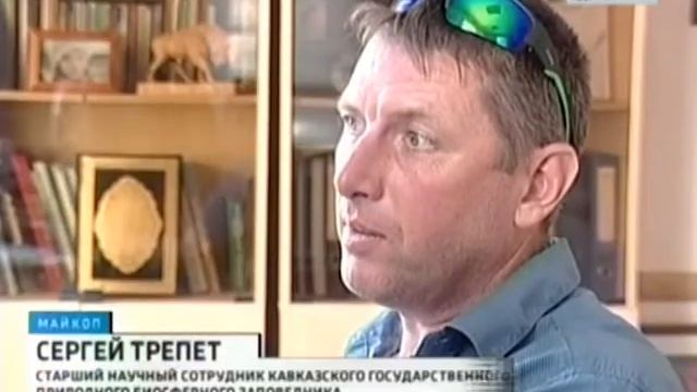 Рыба озера Хуко смотреть онлайн