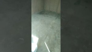 чем почти бесплатно покрыть бетонный пол чтоб не пылил в будущем