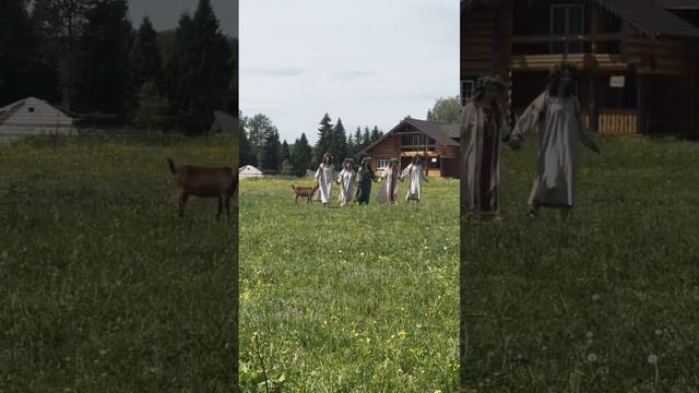 Экскурсия на ферму в Николин Хутор