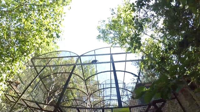 #166.1 Ялта. Зоопарк "Сказка". Часть первая. Крым июнь 2020. Поляна сказок. смотреть онлайн