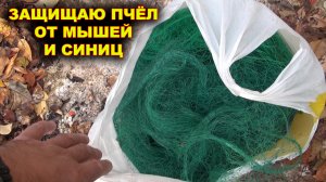 Защита пчёл от мышей и синиц.