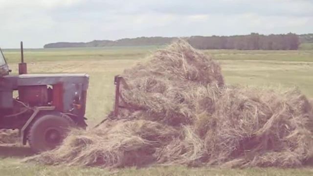 Уборка сена толкающей волокушей смотреть онлайн