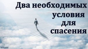 "Два необходимых условия для спасения". В. В. Шутылев. МСЦ ЕХБ