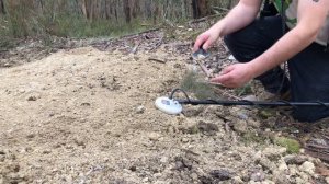 Fun Minelab Gold Monster 1000 day!