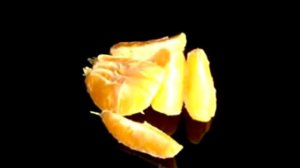 Академик Уголев  Теория адекватного питания  Теория правильного питания