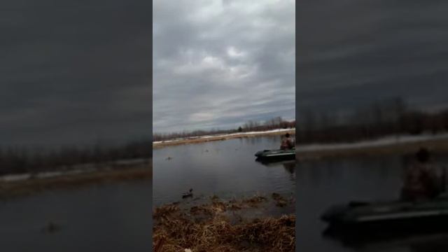 Охота Нижневартовск