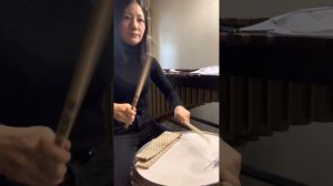 14 Современное конкурсное соло для малого барабана（Барабанщик на параде) Джон С. Пратт