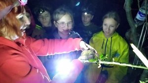 Добровольцы Краснодарского края очищают скалы от вандальных надписей