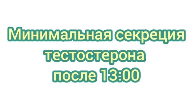 Анатомия и физиология мужской репродуктивной системы.mp4