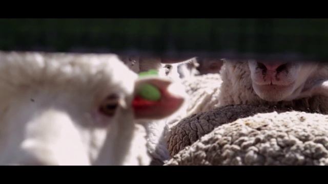 Bahia Bustamante Lodge - Chubut, Patagonia, Argentina. смотреть онлайн