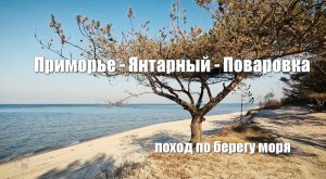 приморье-янтарный-поваровка поход по берегу моря 2-3.03.2024
