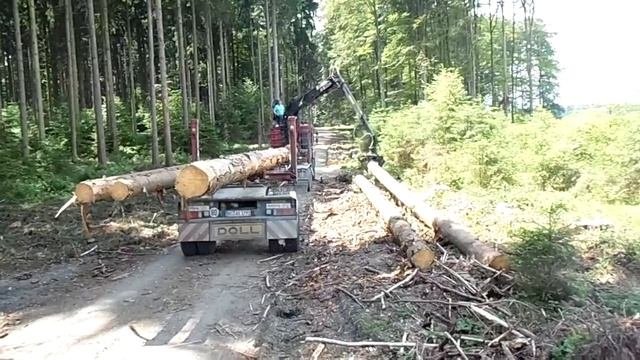 Загрузка лесовоза.Виртуозная работа.
