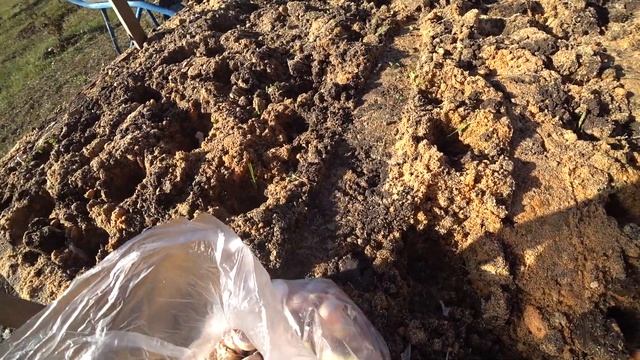 Чеснок под зиму. Советуюсь с мамой. Цена щебенки