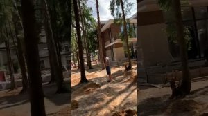 Планировка на участке 20 соток