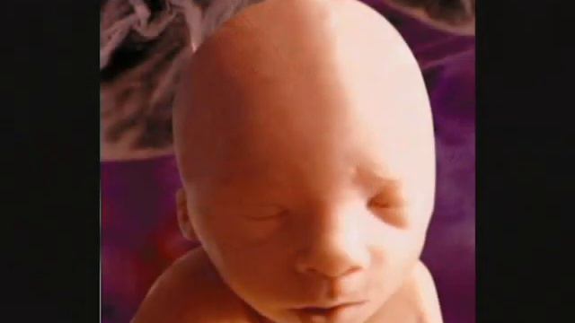 ФИЛЬМ НЕРОЖДЁННОГО