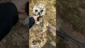 ПАВЕЛ ВСЕМОГУЩИЙ,Что смотришь? Налей пока тёпленькое!