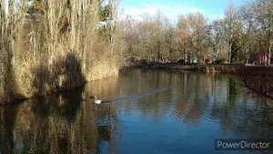 Прогулка по Гагаринскому парку Симферополя 2 января