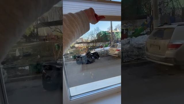 Шторы плиссе на створки