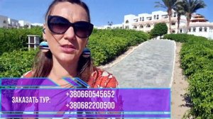 Old Palace - обзор отеля 2020. Оптимальное сочетание цены и качества