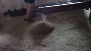 Уборка и дисковка Люпина 2020