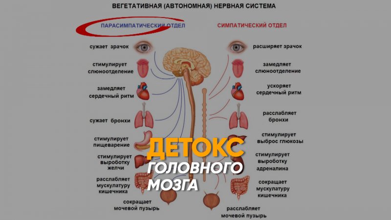 Как успокоиться и убрать тревогу с помощью дыхания?