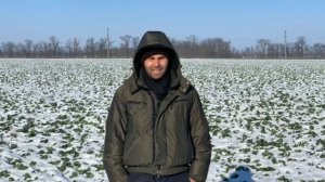 14 января 2021 год. Внесение сульфата аммония на поливных землях.