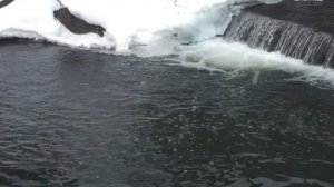 Прогноз клева рыбы на эту неделю с 15 по 31 Марта Календарь рыбака на Март Прогноз клева рыбы