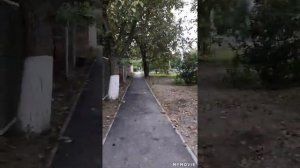 ст.Курская Ставропольский край