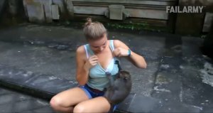 Приколы с обезьянами