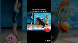 Танец с морским львом под песню Гульмиры Избасхановой "Сени суйем"