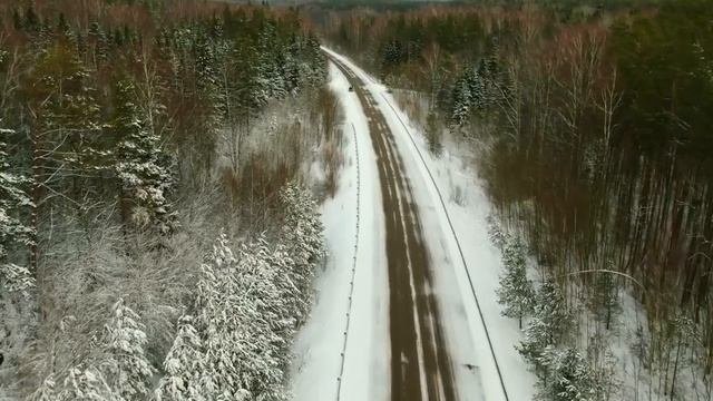 Роминтенская пуща, поселок Краснолесье.