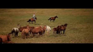 Зүрхэнд эгшиглэх нутаг  /Baynhongor aimag/