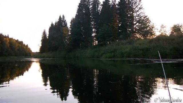 Рыбалка нахлыстом 2-4 августа 2022 года на речке Барда около Зернино смотреть онлайн