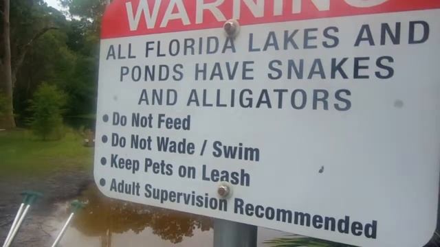 DAY 1&2/ FLORIDA VLOGS!!!! смотреть онлайн