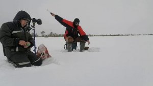 ТАЁЖНОЕ ОЗЕРО КОМИ# ПРОБИРАЕМСЯ ПО ТАЙГЕ НА БУРАНАХ #ДИКОЕ ТАЁЖНОЕ ОЗЕРО # ЛОВЛЯ ОКУНЯ