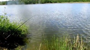 Ловля карпа в рыбхозе "Гжелка" на Нагульном пруду № 1