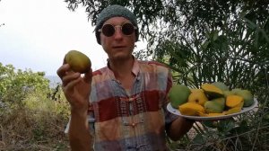 МаНгО КаК ЧиСтитЬ ОТ кОсТоЧки, Как ОЧиСтиТЬ БыСтРо, КрАсИвО! ПоЛьЗА и ВрЕД КаК ЕСть)