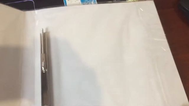 Папка-скоросшиватель А4 "Glamour cats" L5911 код 490737 смотреть онлайн