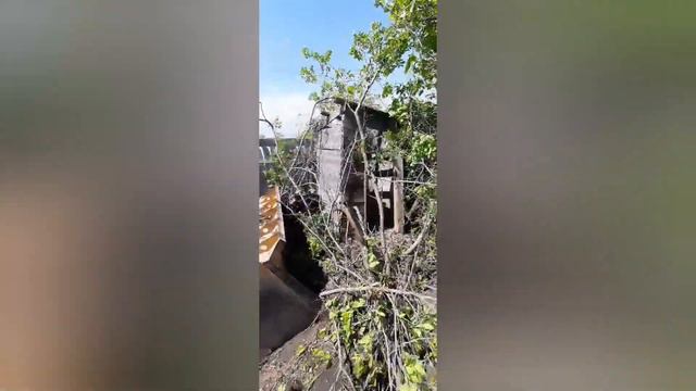 Участок с нуля. Расчистка 6 соток. #дача #расчисткаучастков #6соток