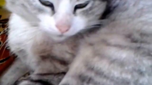 Резко проснулся))))) смотреть онлайн