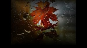 ERIC CLAPTON - AUTUMN LEAVES - KARAOKE