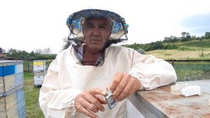 Клеточки для подсадки маток. Для чего вырез 4,2 мм в клеточке.